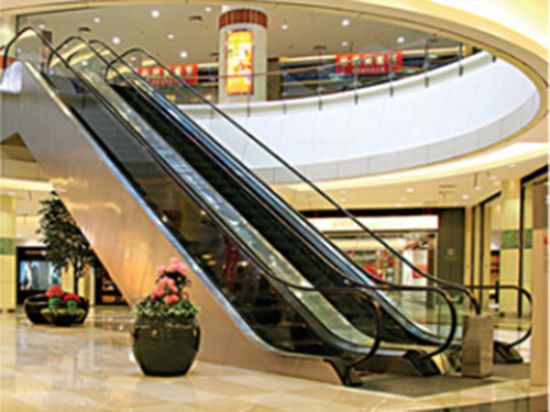 點(diǎn)擊查看詳細(xì)信息<br>標(biāo)題：自動(dòng)扶梯 閱讀次數(shù)：3557